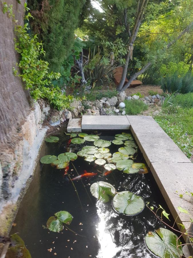 Maison Mimosa Salernes Kültér fotó