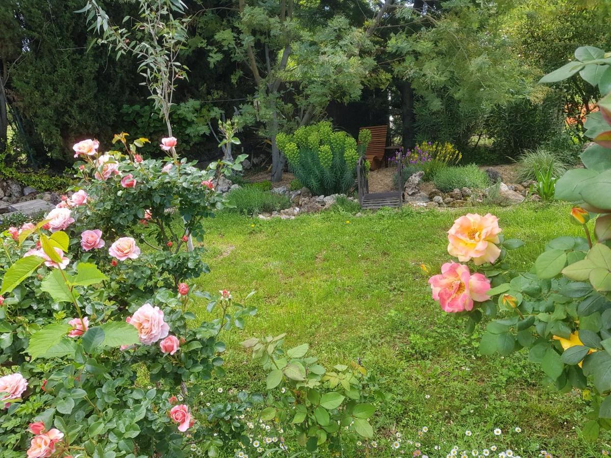 Maison Mimosa Salernes Kültér fotó